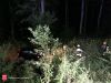 Bild-Nr. 377 Technischer Einsatz