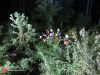 Bild-Nr. 378 Technischer Einsatz