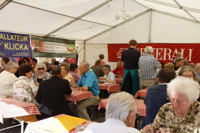 Feuerwehr Fest 2016