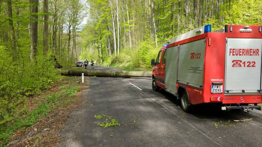 Mehrerer Einsätze durch heftigen Sturm