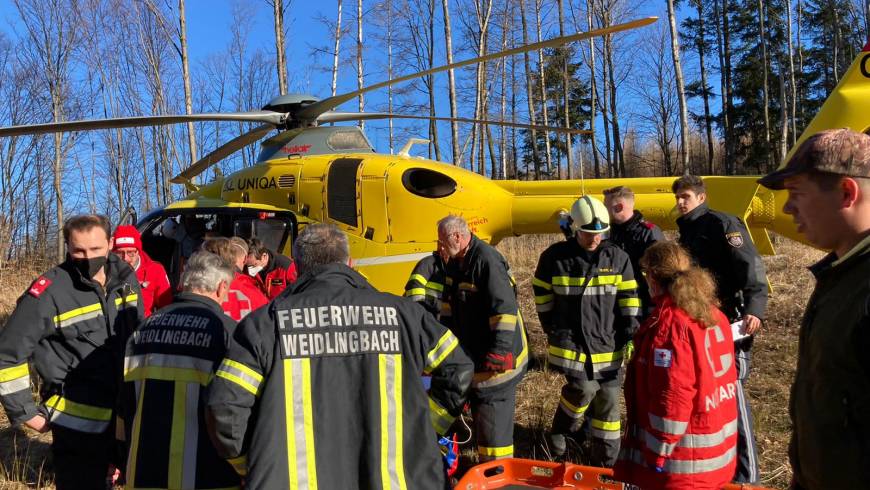 Forstunfall am Scheiblingstein