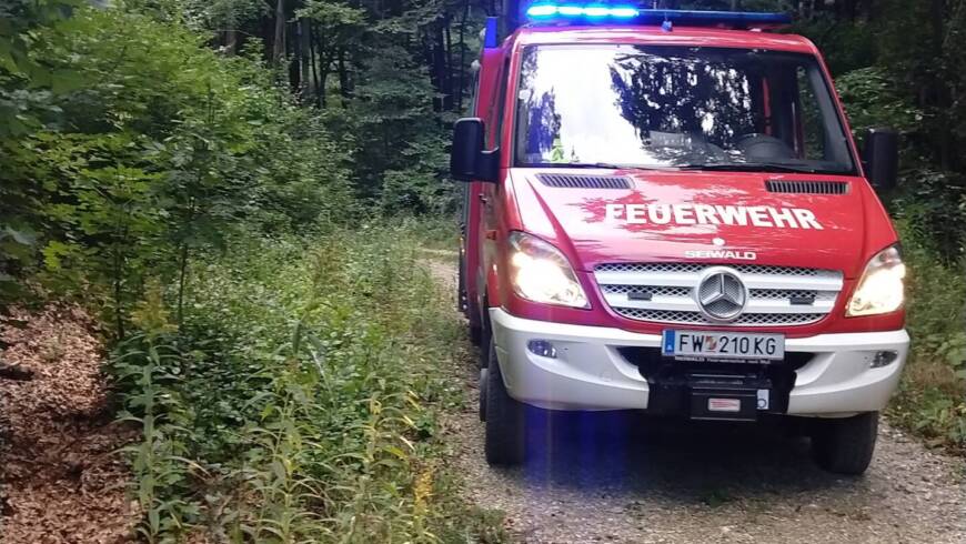 Person in Notlage beim Mountainbike Trail in Weidlingbach