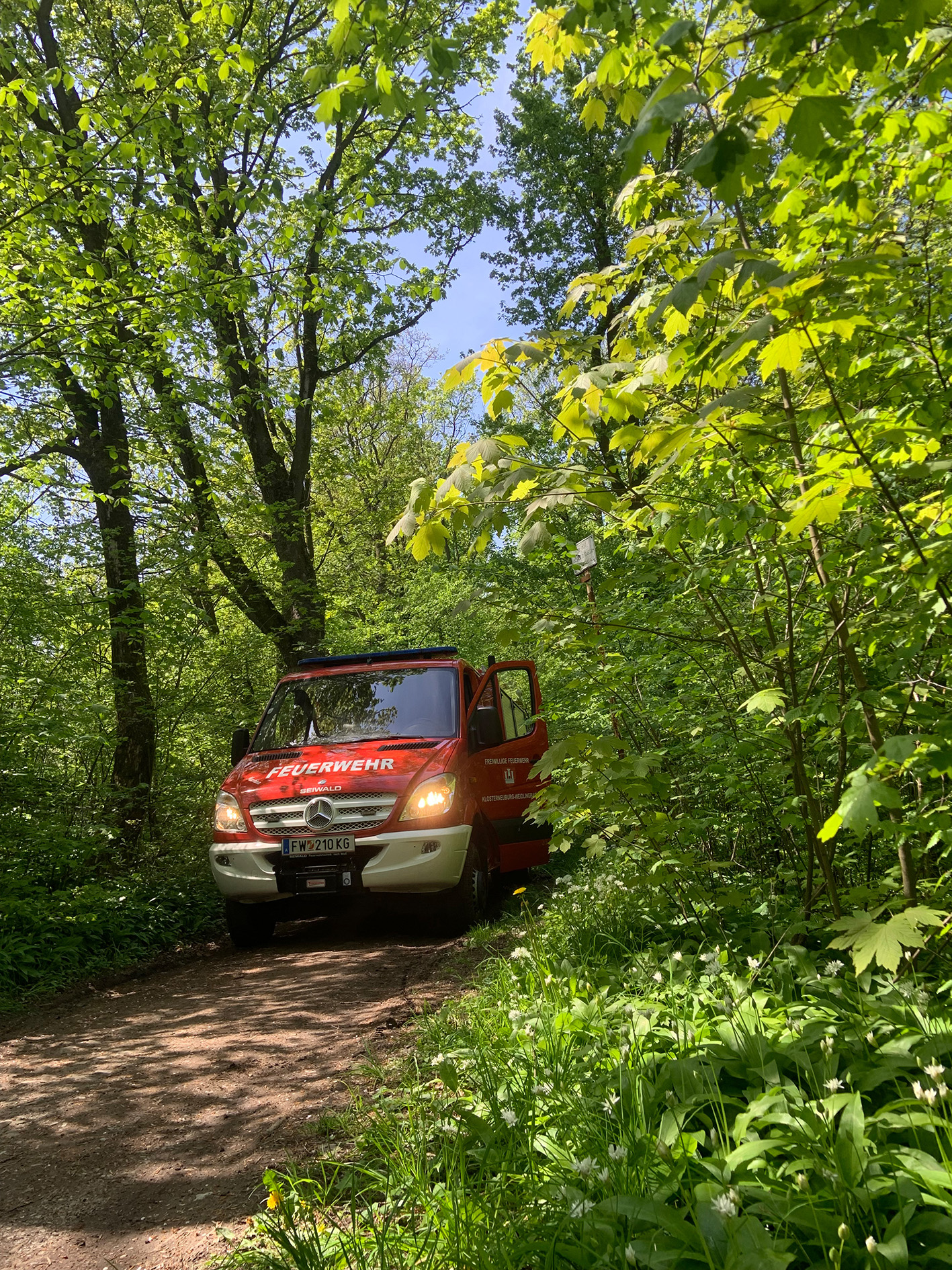 Gestürzter Mountainbiker am Wurzeltrail – Trageunterstützung für das ...