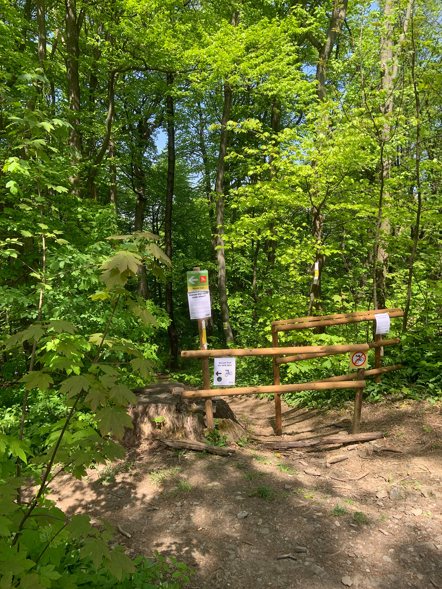 Gestürzter Mountainbiker am Wurzeltrail – Trageunterstützung für das ...