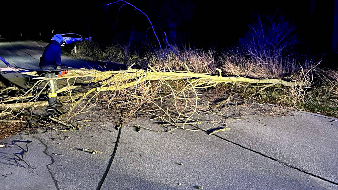 Baum blockierte Straße zu Mitternacht