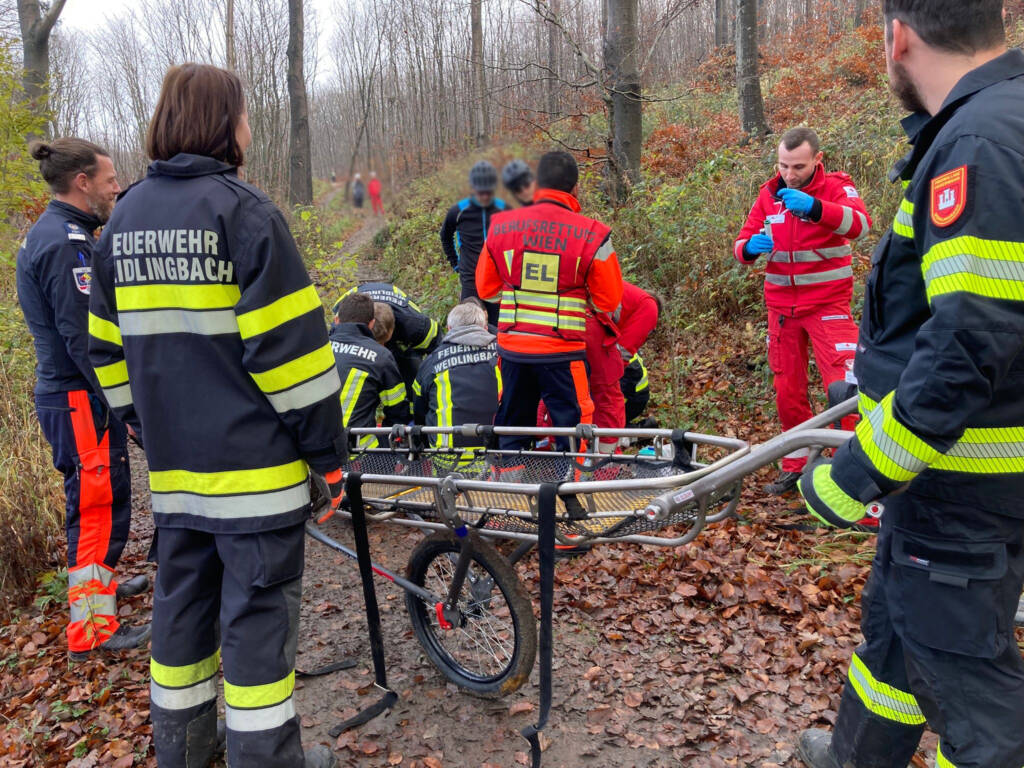 Gestürtzer Mountainbiker