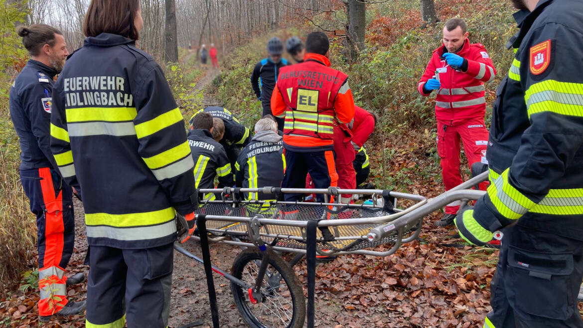 Gestürtzer Mountainbiker