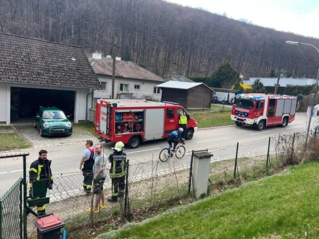 20260322_B1 Heckenbrand1