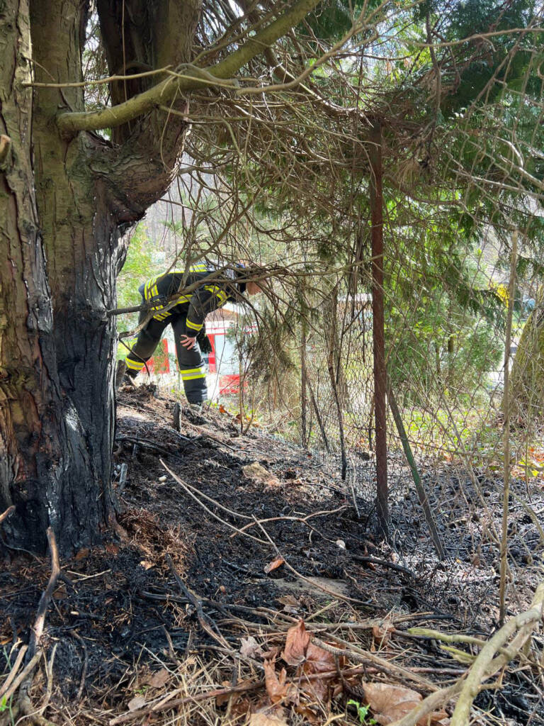 Zwei Einsätze in Folge: Heckenbrand und Motorradbergung