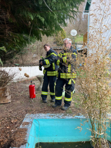 20260322_B1 Heckenbrand3