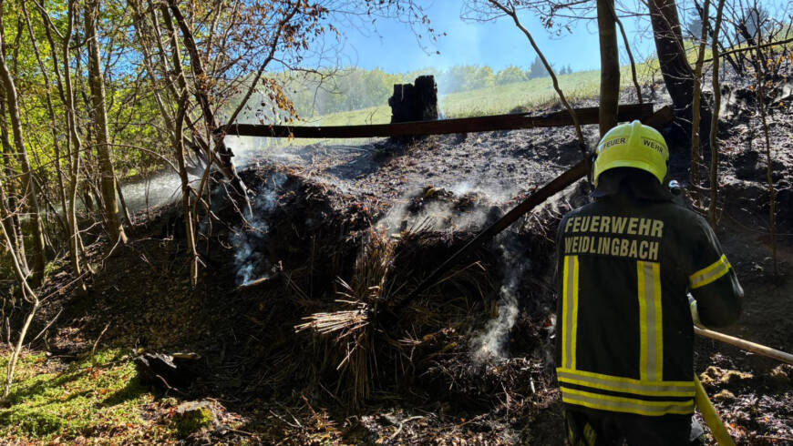 Vegetationsbrand am Steinriegl