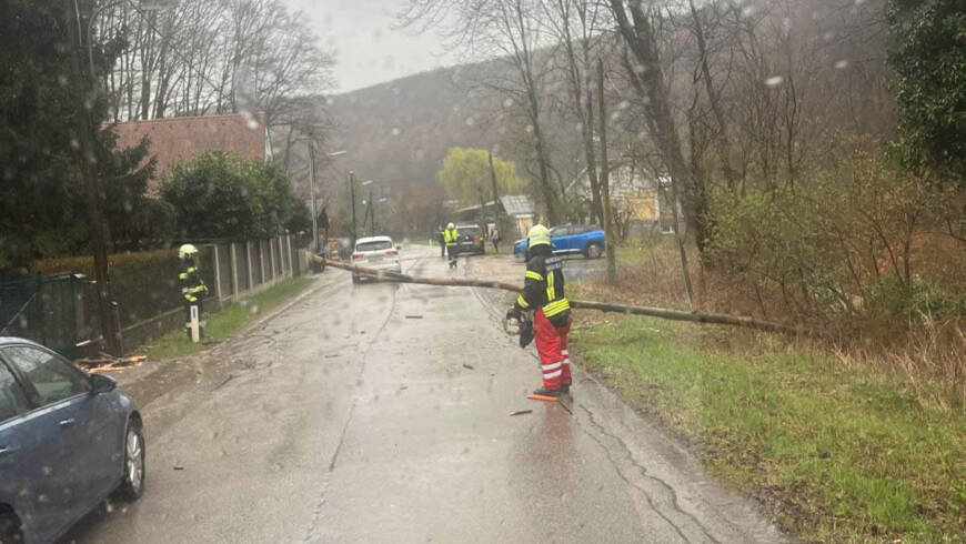 Baum über Fahrbahn