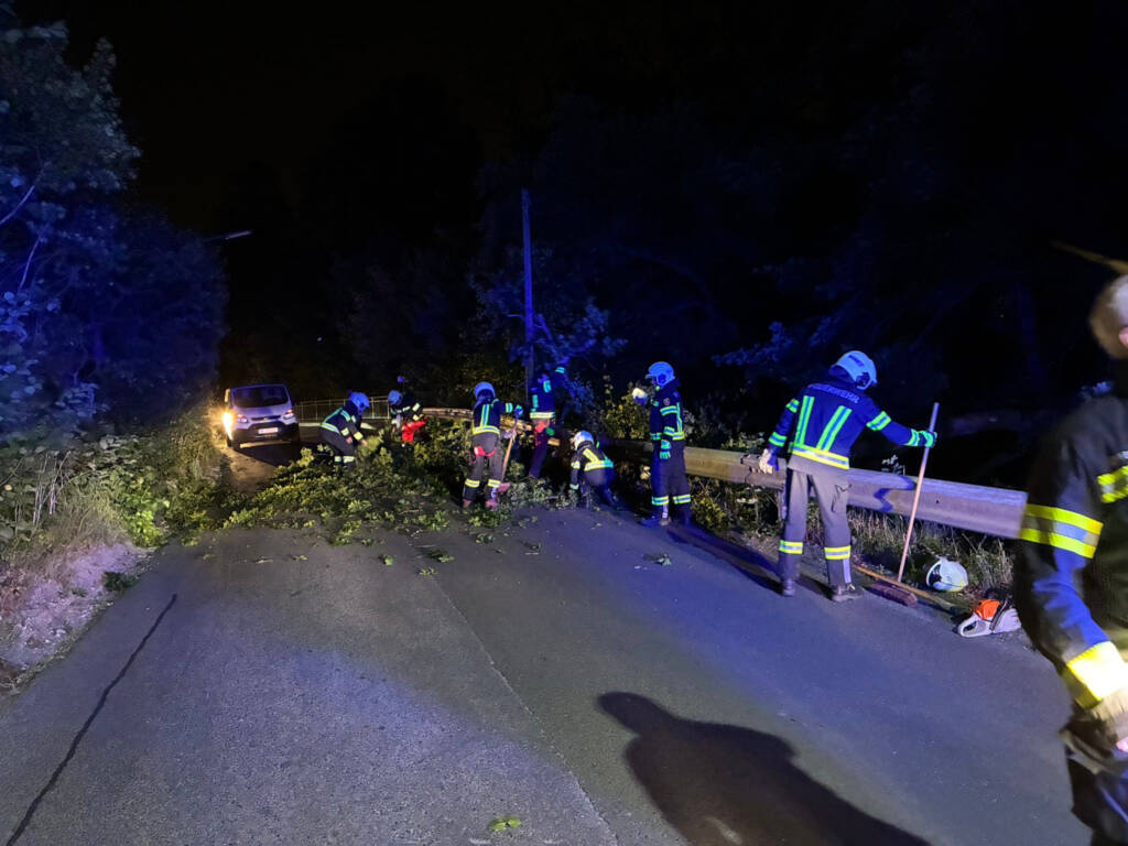 Sturmschaden – Baum über Fahrbahn in der Steinrieglstraße￼
