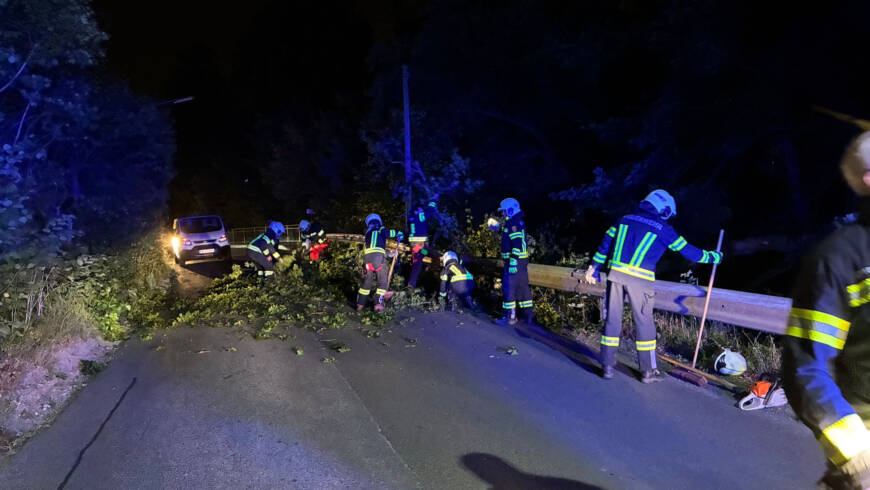 Sturmschaden – Baum über Fahrbahn in der Steinrieglstraße