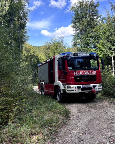 FFWB20260919_MTBtrail1