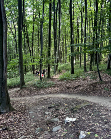 FFWB20260919_MTBtrail3