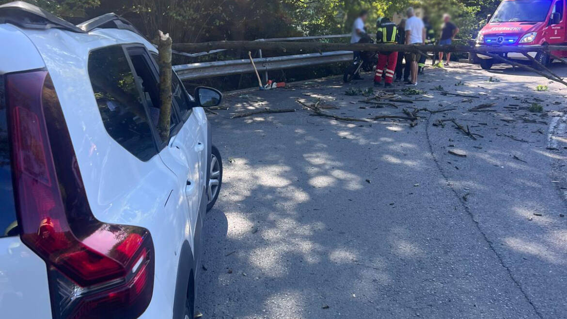 Umstürzender Baum trifft PKW und Motorrad