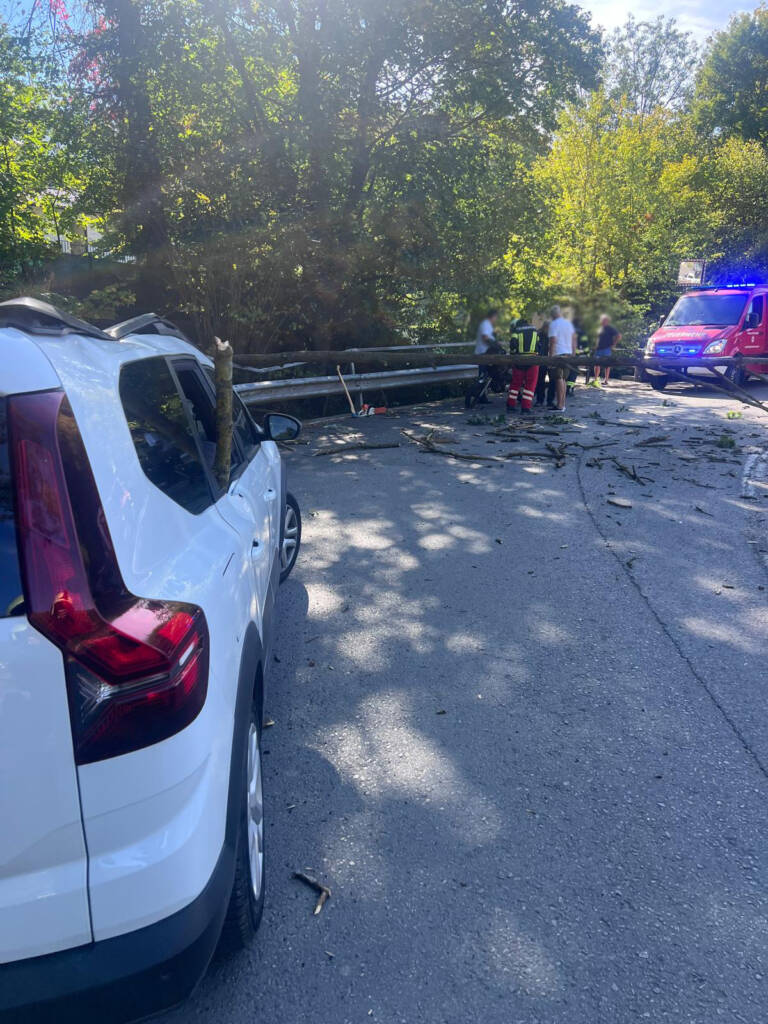 Umstürzender Baum trifft PKW und Motorrad